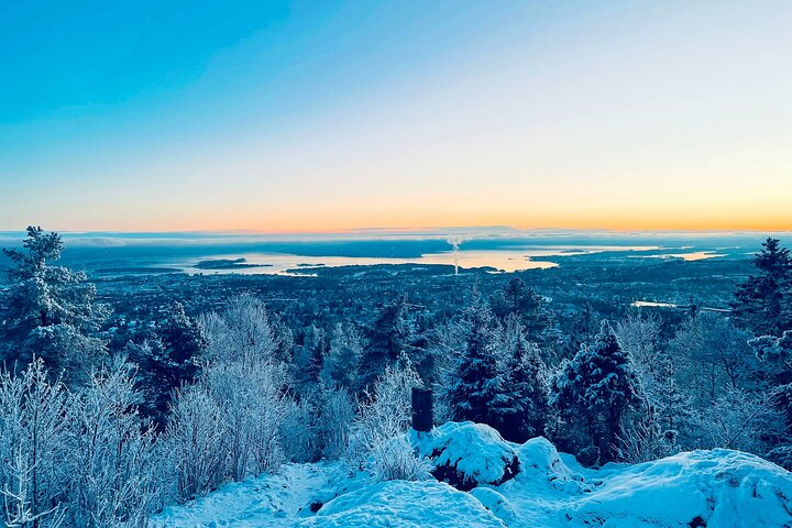 4 hours Best View of the Oslofjord Winter Edition - Photo 1 of 13