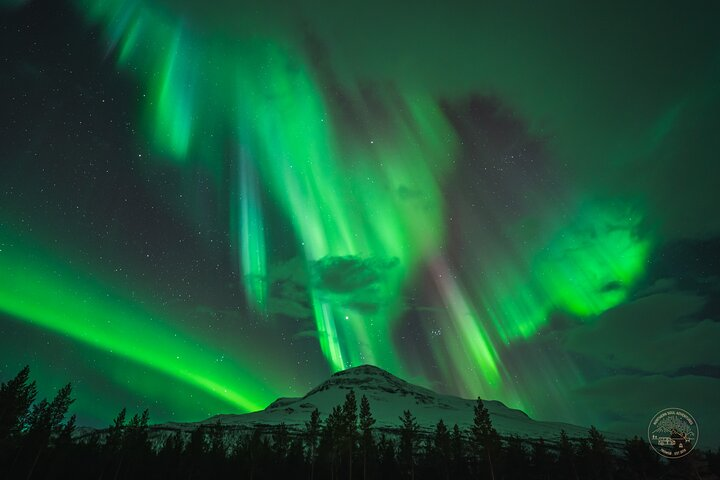 Minibus Northern Lights Chase with Photography from Tromsø - Photo 1 of 10