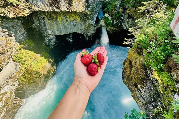 Alesund Private Troll Road Adventure with Strawberry Valley - Photo 1 of 18