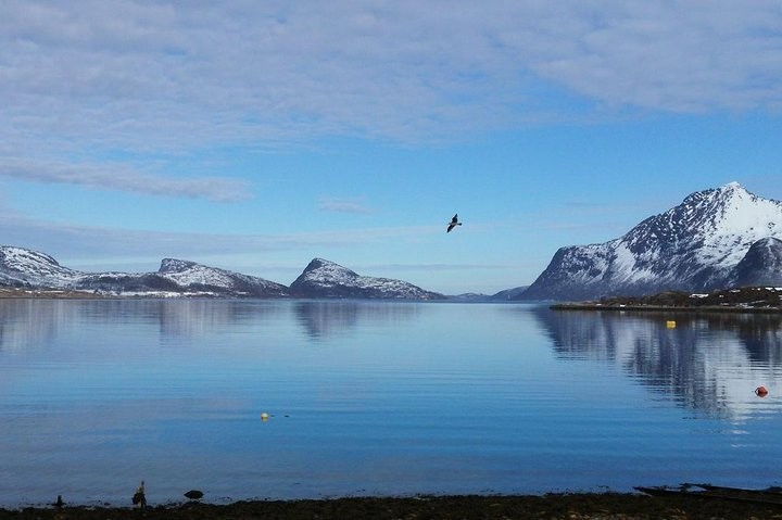Fjord, Mountain and Wildlife Tour - Photo 1 of 12