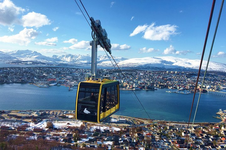 Soar above Tromsø for panoramic views of the Arctic landscape where snowy peaks meet blue waters and enjoy a cozy treat of Norwegian waffles by the fire.
