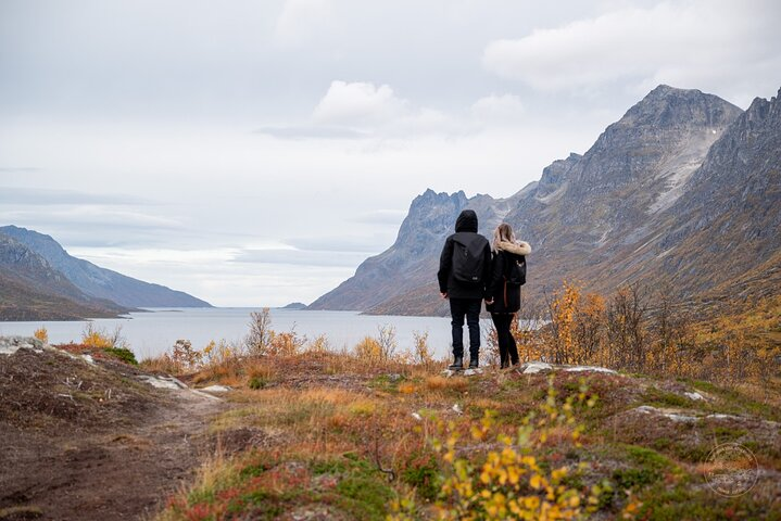 Breathtaking fjords and rugged mountains frame an unforgettable journey inviting travelers to immerse in nature’s beauty while enjoying a cozy picnic amidst Norway’s stunning landscapes.