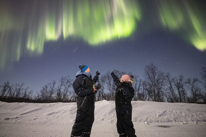 10 years of Aurora chasing in Tromso region and around Finland/Sweden borders.