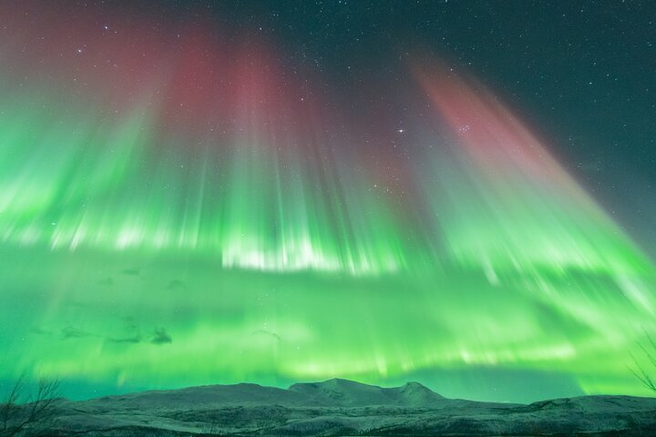 All-inclusive Aurora Hunt with 98% success rate (photos included) - Photo 1 of 9