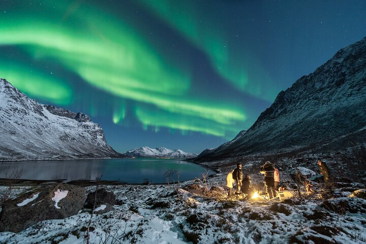 Under the mesmerizing glow of the Northern Lights enjoy cozy moments by the campfire roast marshmallows and share stories while capturing unforgettable memories in Tromsø's stunning wilderness.