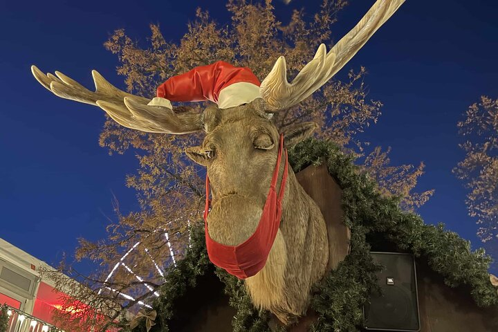 Julefeiring: Oslo’s Christmas Tour - Photo 1 of 5