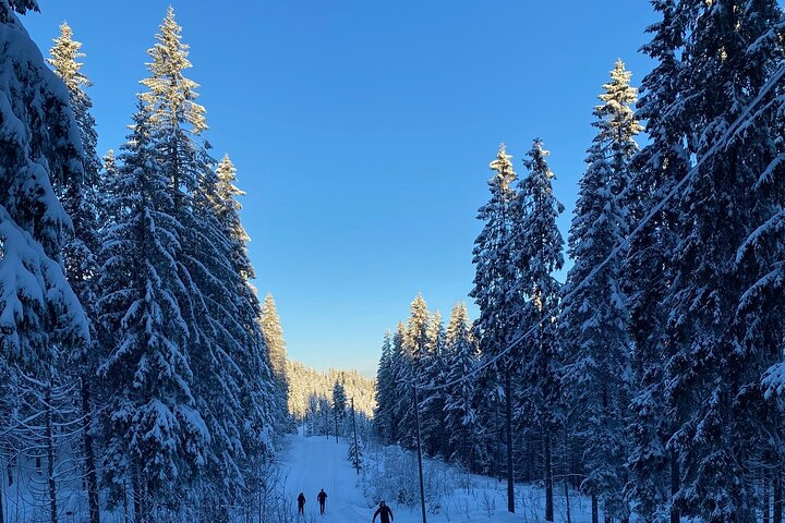 Oslo Cross-Country Skiing with Fireside “Kos” - Photo 1 of 25