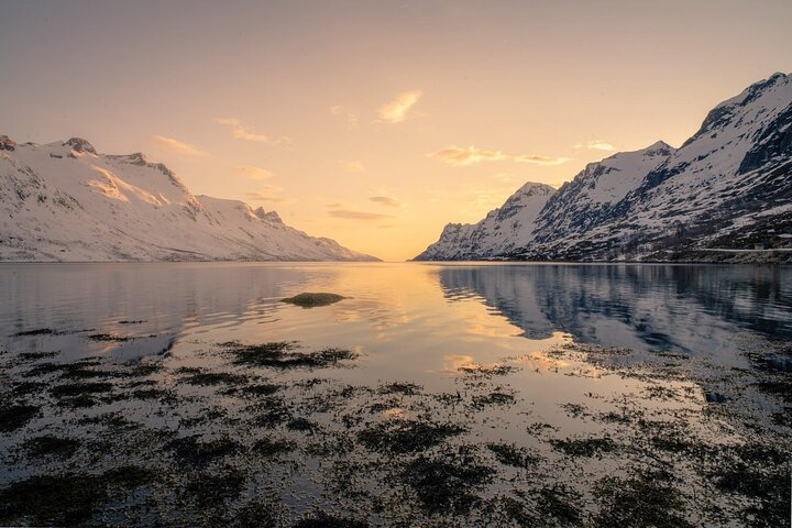 Ersfjordbotn