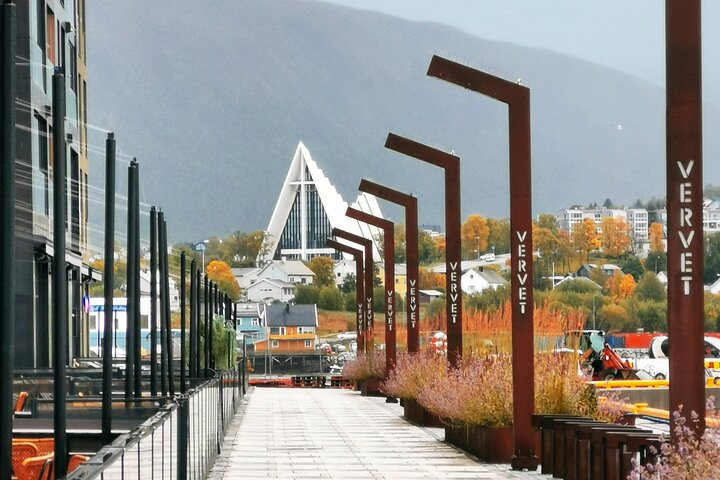 Explore Tromsø’s unique charm as you walk along scenic paths capturing stunning views and hidden gems with a local guide making unforgettable memories in this picturesque city.