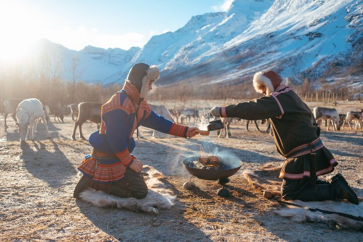 Tromso Exclusive Small-Group Reindeer Experience - Photo 1 of 18