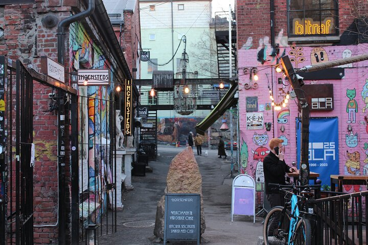 Explore Oslo’s Art and Culture with a Local - Photo 1 of 9