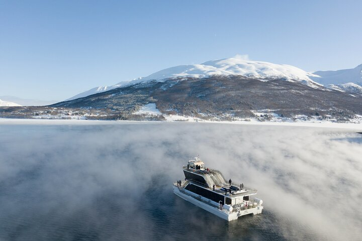 Experience the serene beauty of Tromsø's fjords with snow-capped mountains in view and an eco-friendly boat gliding through misty waters revealing nature's hidden wonders and wildlife stories.