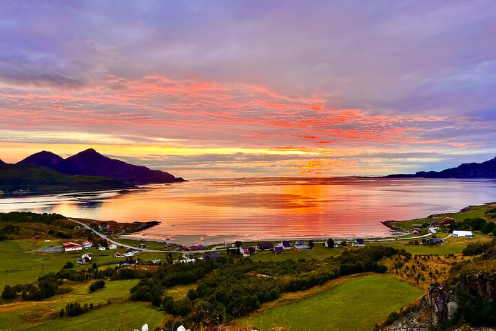 Experience the stunning blend of land and sea as you explore Tromso's picturesque fjords. Witness breathtaking sunsets and discover unique wildlife guided by a local with deep-rooted knowledge.