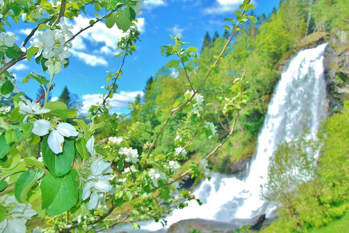 HARDANGER FJORD AND VOSS: Short private roundtrip, 8-9 hours - Photo 1 of 25