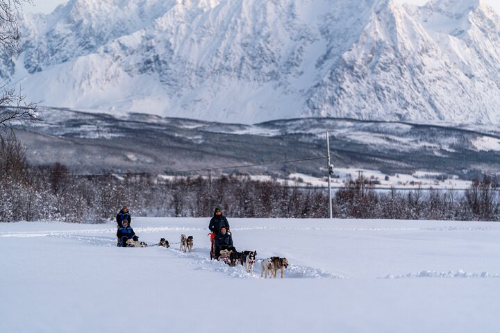 Husky Experience and Dog Sled Driving - Photo 1 of 7