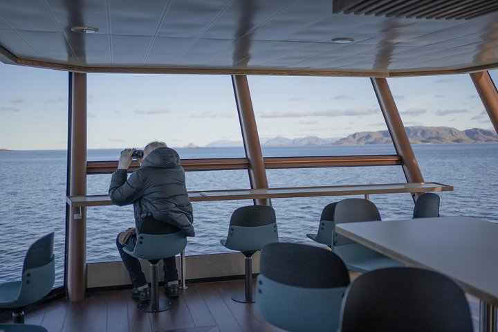 Lofoten Island: Silent Trollfjord Cruise from Svolvær - Photo 1 of 10