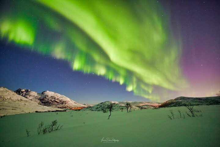 Northern Lights Minivan Tour (8 Guests per Minivan) - Photo 1 of 9