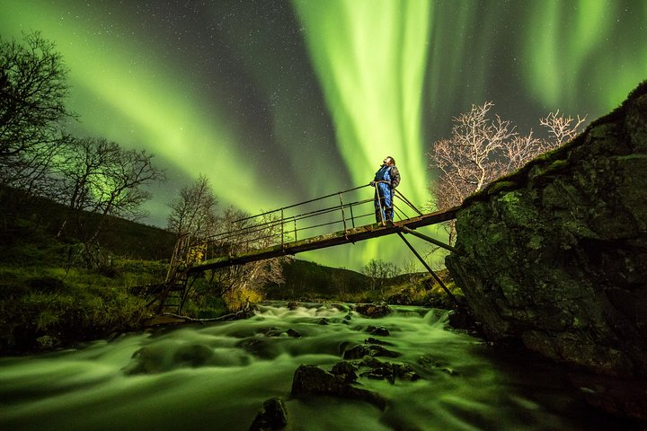 Experience the stunning dance of the Northern Lights above a serene landscape while capturing unforgettable moments with expert guidance during the ultimate adventure in Tromso.