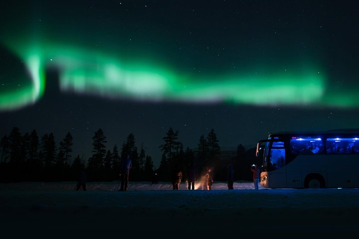 Chase the elusive Aurora!