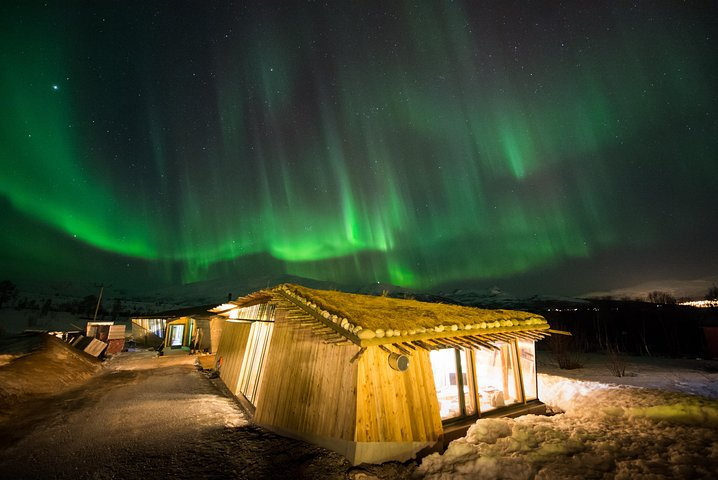 Experience the magic of the Northern Lights while cozying up at our Aurora camp with stunning views above and the joyful companionship of playful husky puppies nearby.