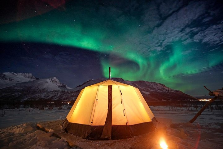 Under the glowing northern lights experience the magic of reindeer sledding followed by cozy moments in a traditional tent learning about Sami culture and savoring local delicacies.