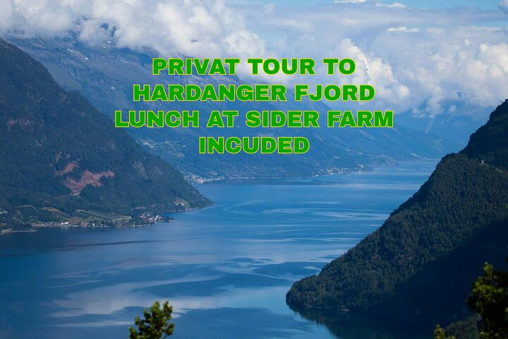 Private Tour to Hardanger Fjord Lunch at a Cider Farm included - Photo 1 of 25