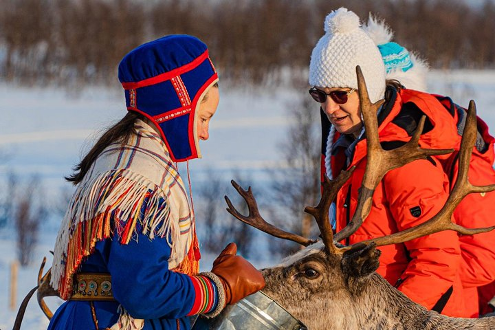 Reindeer Feeding & Saami Culture Tour - Photo 1 of 25