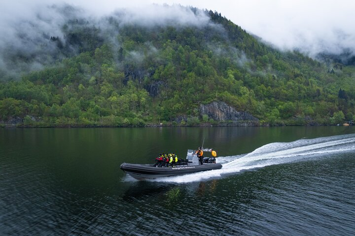 Hardangerfjord RIB Safari to Secluded Fyksesund from Norheimsund - Photo 1 of 11