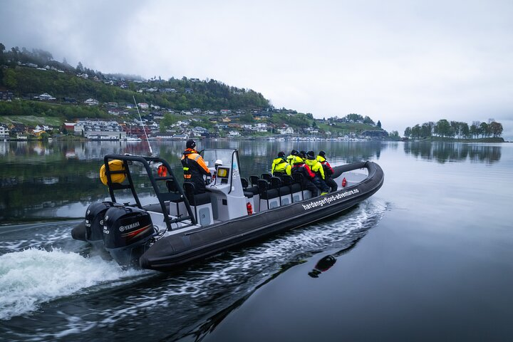 Hardangerfjord RIB Safari to Secluded Fyksesund from Norheimsund - Photo 1 of 12