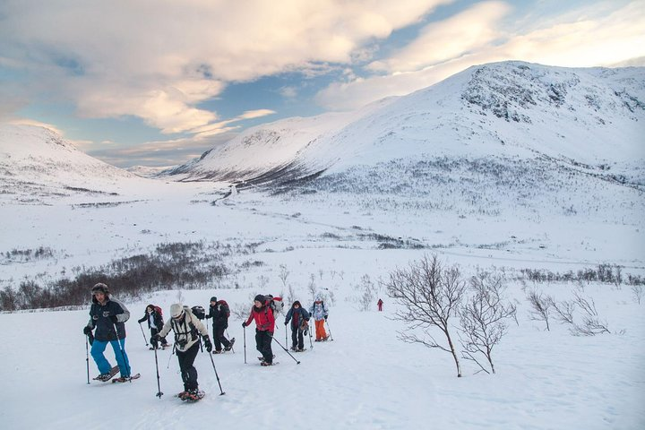Experience the serene beauty of Tromso’s Arctic landscape. Snowshoeing across pristine snow offers a unique adventure revealing stunning views of mountains and fjords as you ascend. Enjoy nature while staying active!