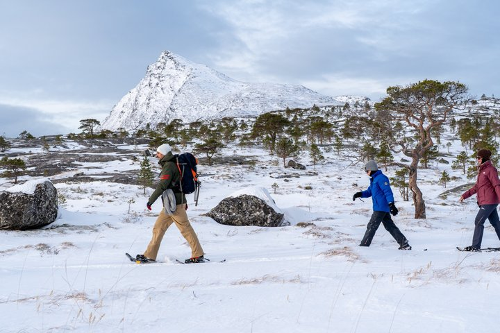 Snowshoeing - Winter Day Trip in Bodø, Northern Norway - Photo 1 of 9