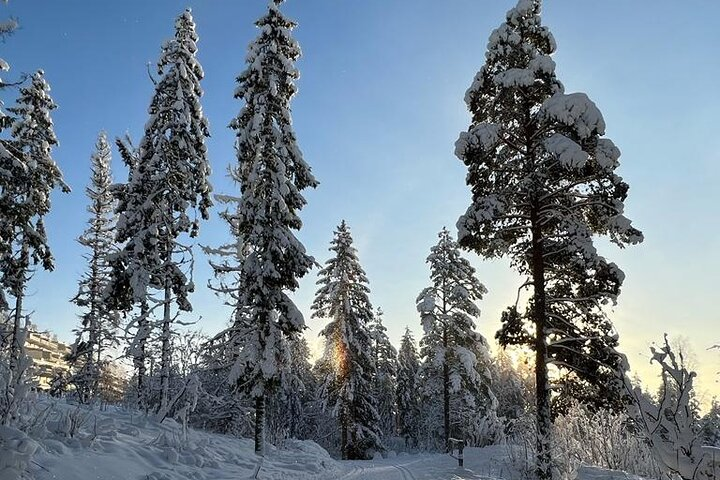 Top of Oslo Snowshoe Tour - Photo 1 of 25