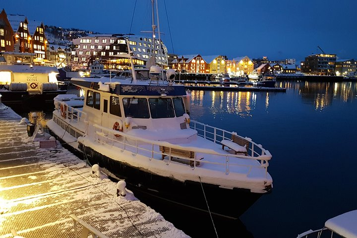 Experience the charm of Tromsø’s waterfront where the allure of Arctic life meets scenic beauty making city exploration a delightful adventure through this historic locale.