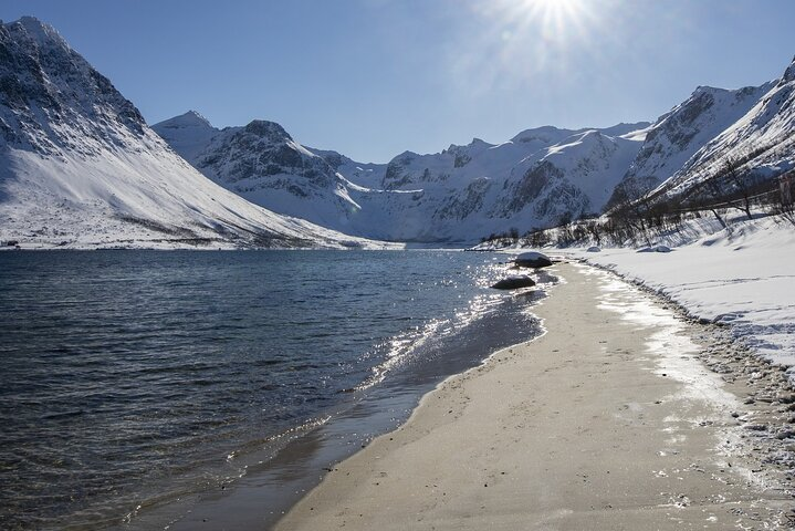 Discover stunning vistas of high mountains and pristine beaches where reindeer and eagles roam inviting endless opportunities for memorable photos and a taste of Arctic adventure.