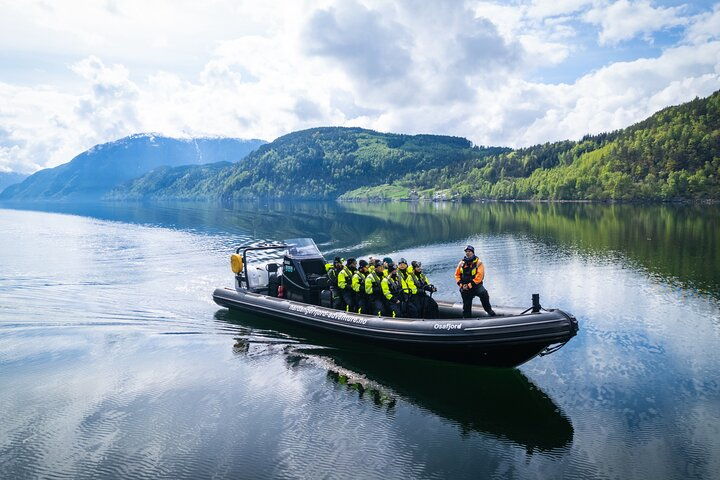 Osafjord RIB Safari from Ulvik: Waterfalls & Hardangerfjord Views - Photo 1 of 9