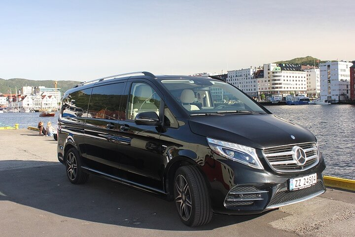 Mercedes V-class