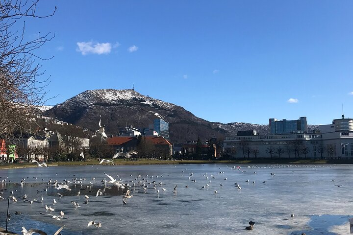 Zero Emission Bergen City Tour By Car - Photo 1 of 7