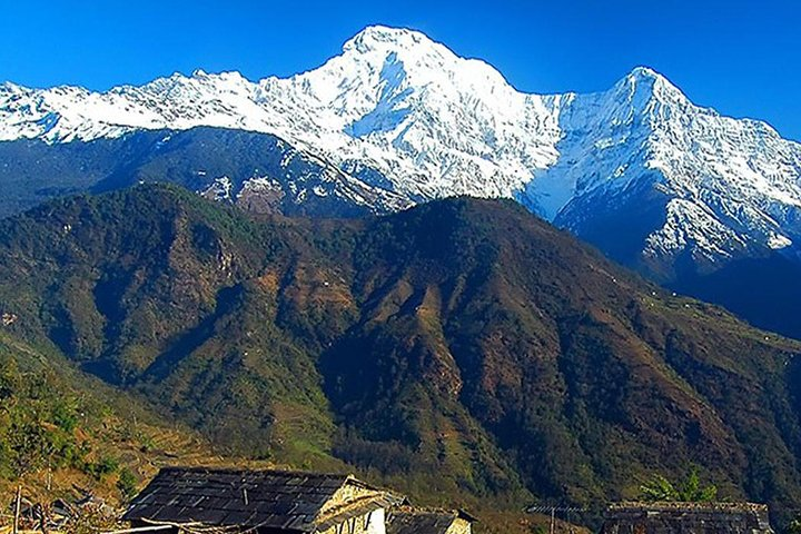 Siklis Trek with Mt.Annapurna view