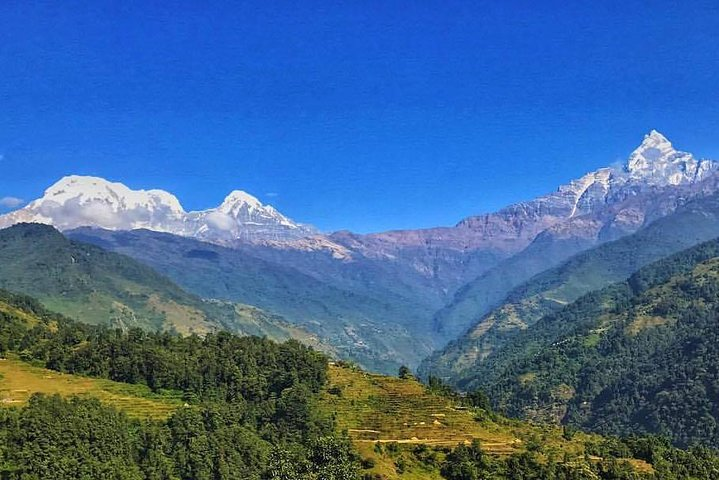 10 Days Kathmandu Chitawan Pokhara Tour with Dhampus Trek - Photo 1 of 8