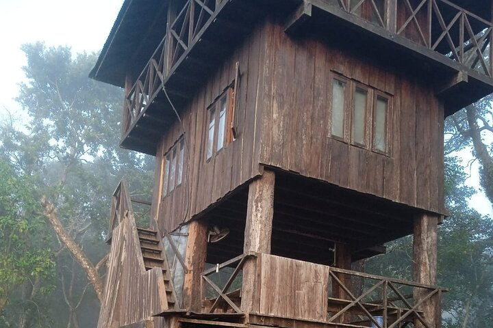 3 Nights 4 Days Chitwan National Park with Tower Night Stay - Photo 1 of 25