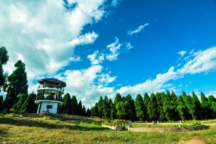3-Day Eastern Paradise Ilam Tour from Kathmandu - Photo 1 of 8