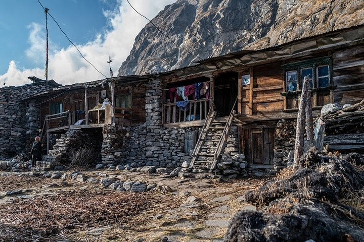8 Days Tour in Langtang Valley Trek - Photo 1 of 6