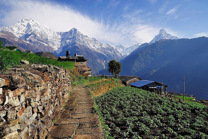 9 days Kids Friendly Lower Annapurna Royal Trek - Photo 1 of 14