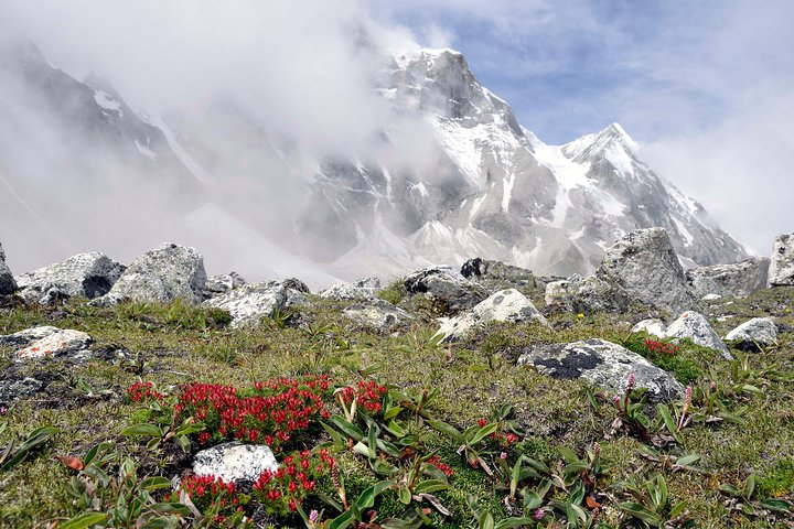 View from Almost Gosakunda 