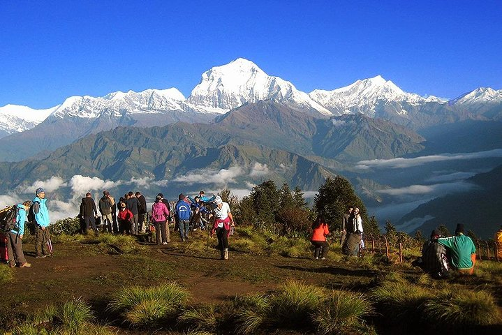 Annapurna Dhaulagiri Khopra Trekking - Photo 1 of 6