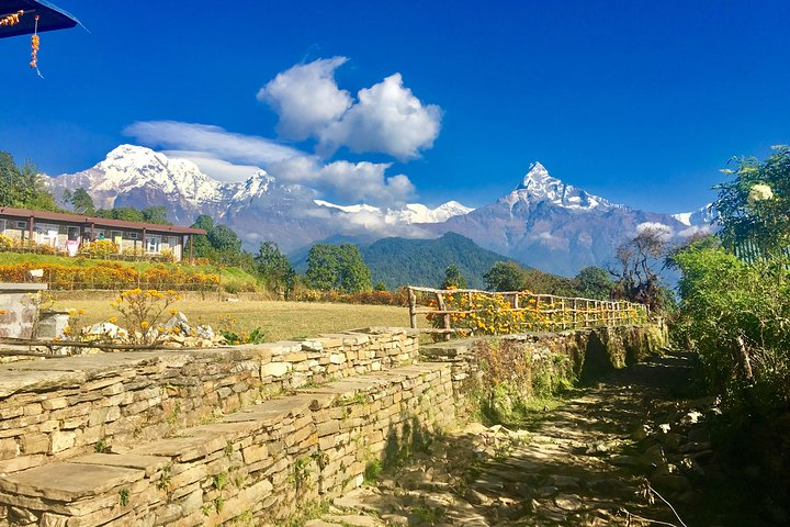 Best Short 5 days Trek Pokhara-Dhampus-Sarangkot  - Photo 1 of 6