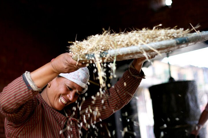 A women Separating chaff in Bungamati Village.