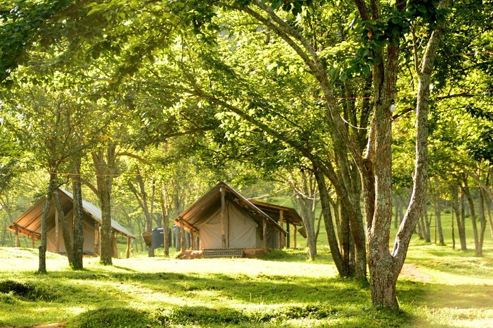 Pear Farm during Spring.