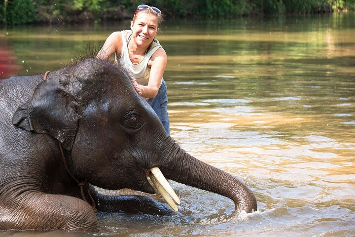 Chitwan National Park Tour - Photo 1 of 14