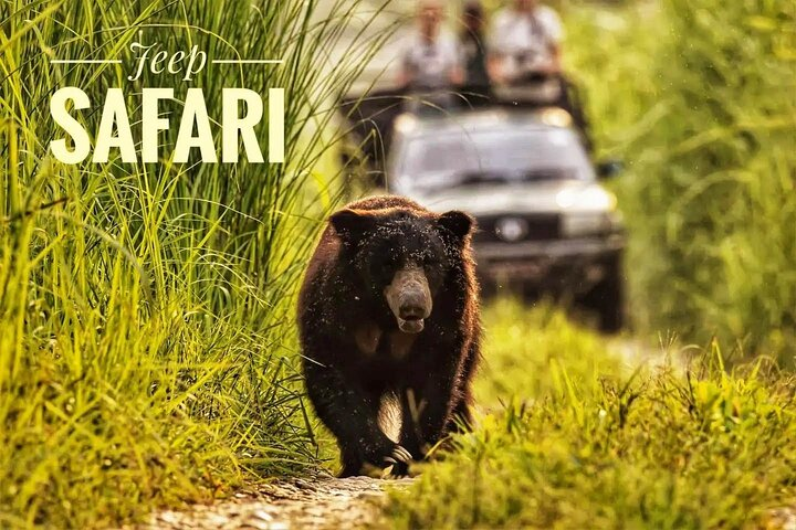 Night Stay in Chitwan National Park, 2 Nights 3 Days Package - Photo 1 of 20